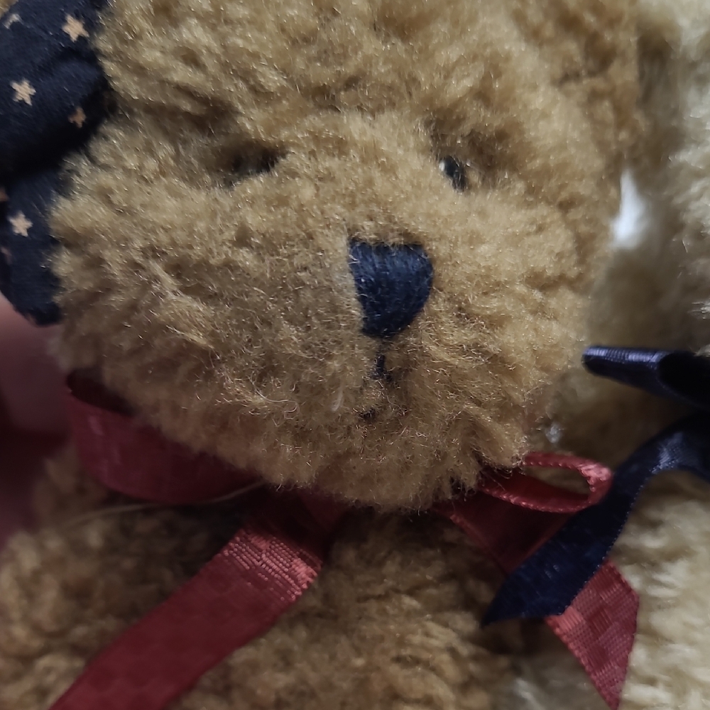 Boyds Bestest Friends Teddy Bear Pair NWT - Picture 7 of 9